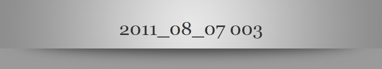 2011_08_07 003