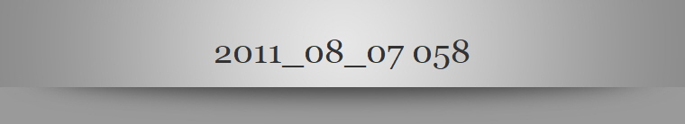 2011_08_07 058