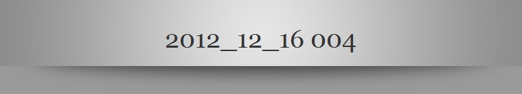 2012_12_16 004