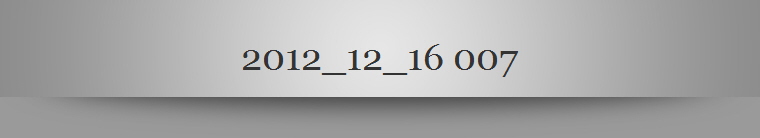 2012_12_16 007