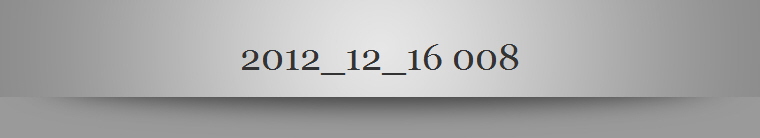 2012_12_16 008