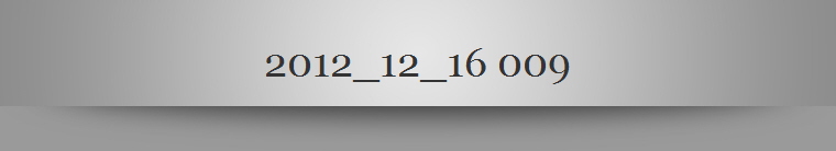 2012_12_16 009