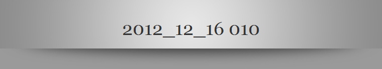 2012_12_16 010
