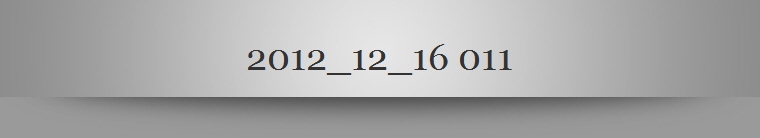 2012_12_16 011