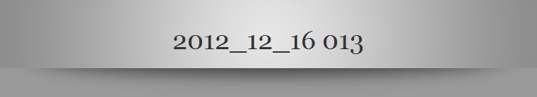 2012_12_16 013