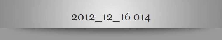 2012_12_16 014