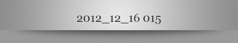 2012_12_16 015