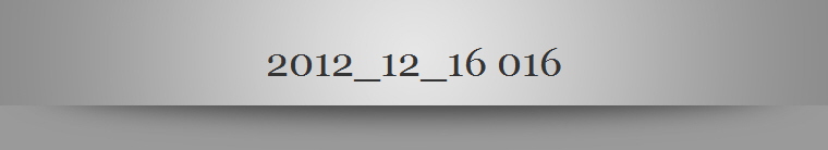2012_12_16 016