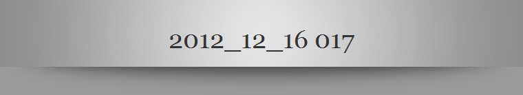 2012_12_16 017