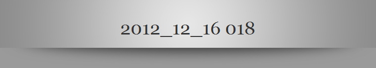 2012_12_16 018