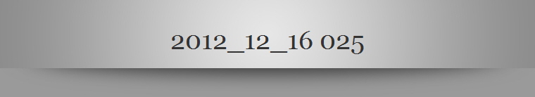 2012_12_16 025
