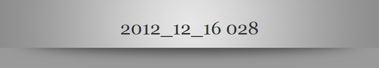 2012_12_16 028