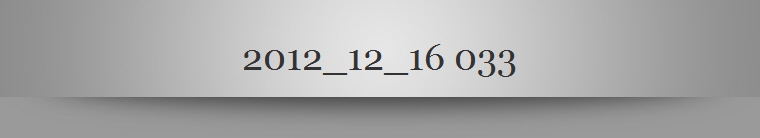 2012_12_16 033