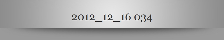 2012_12_16 034