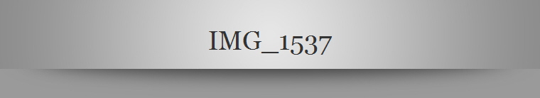 IMG_1537