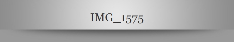 IMG_1575