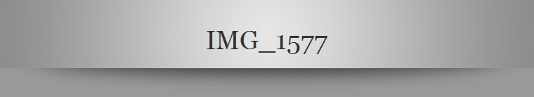 IMG_1577