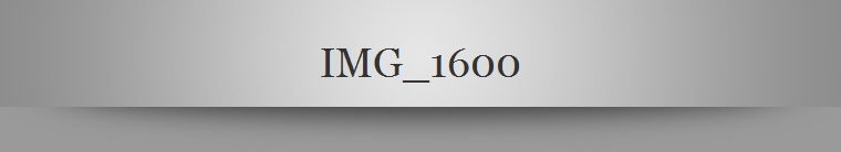 IMG_1600