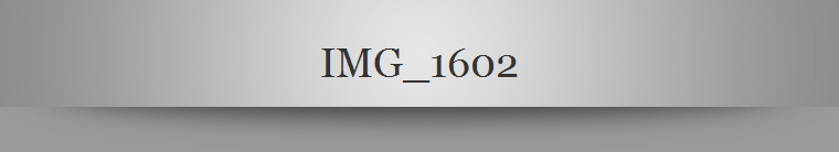 IMG_1602