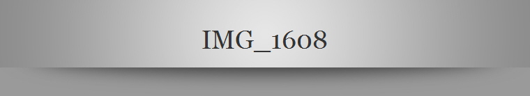 IMG_1608