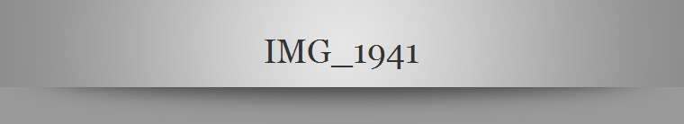 IMG_1941