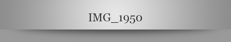 IMG_1950