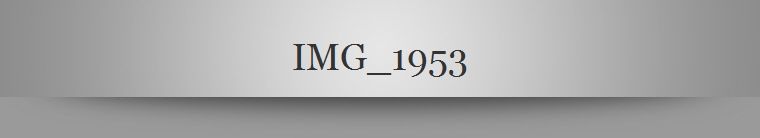 IMG_1953