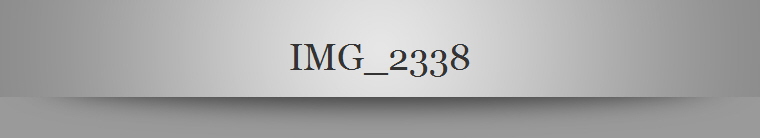 IMG_2338