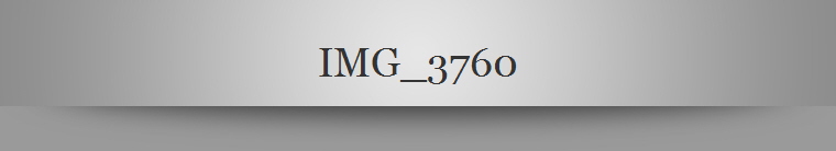 IMG_3760