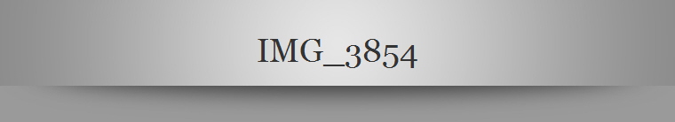 IMG_3854