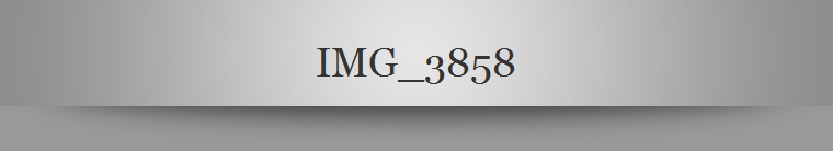 IMG_3858