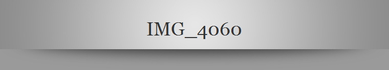 IMG_4060