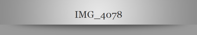 IMG_4078
