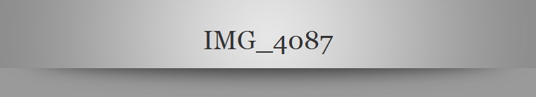 IMG_4087