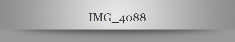 IMG_4088