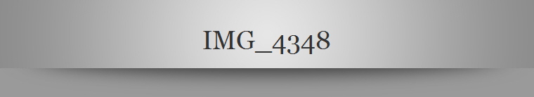 IMG_4348