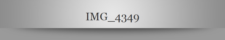 IMG_4349