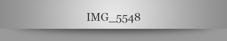 IMG_5548
