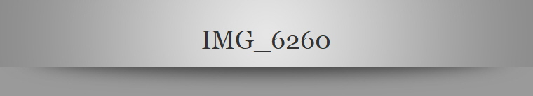 IMG_6260